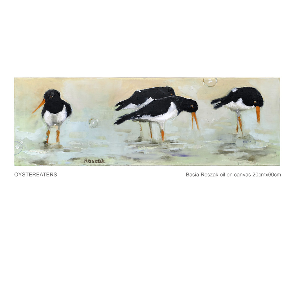 oyster catchers oil on canvas SOLD