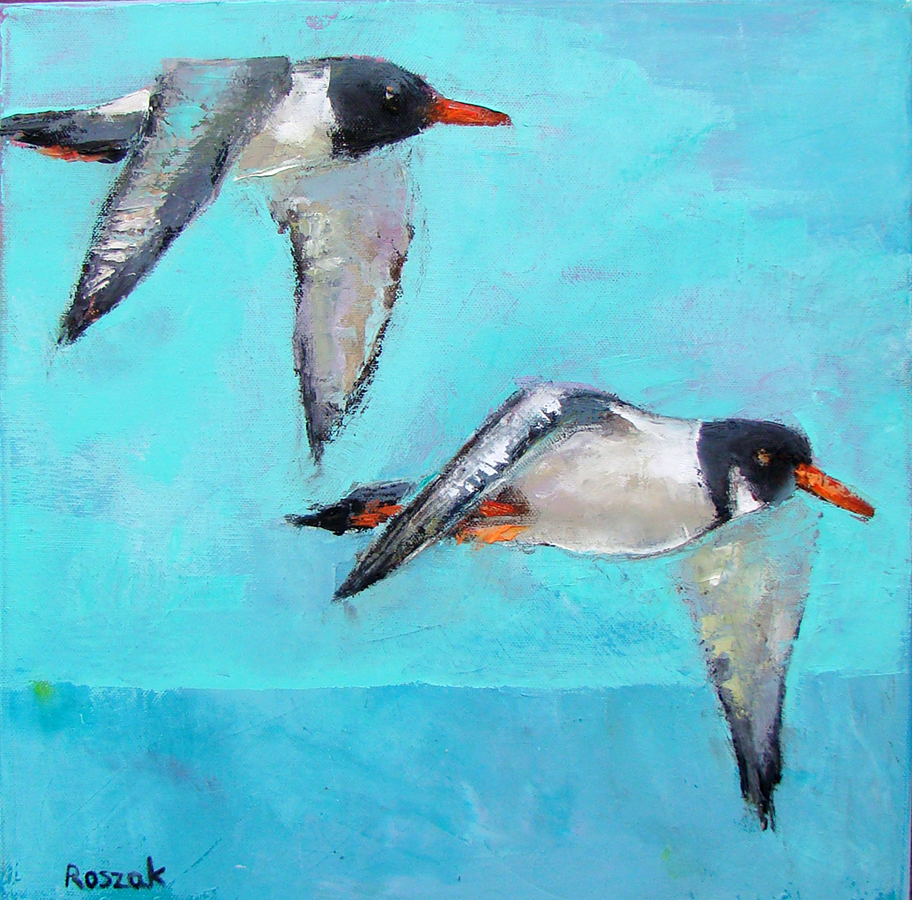 OYSTER CATCHERS oil on canvas 40cmx40cm