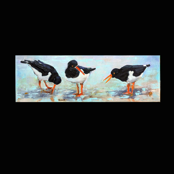 OYSTER CATCHERS oil on canvas 20cmx60cm