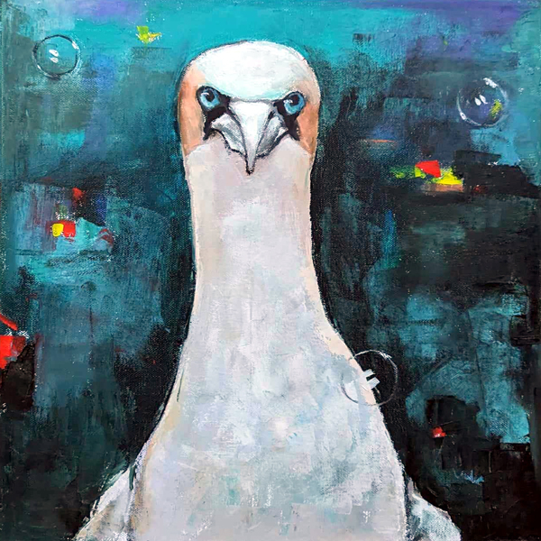 GANNET oil on canvas 40cmx40cm